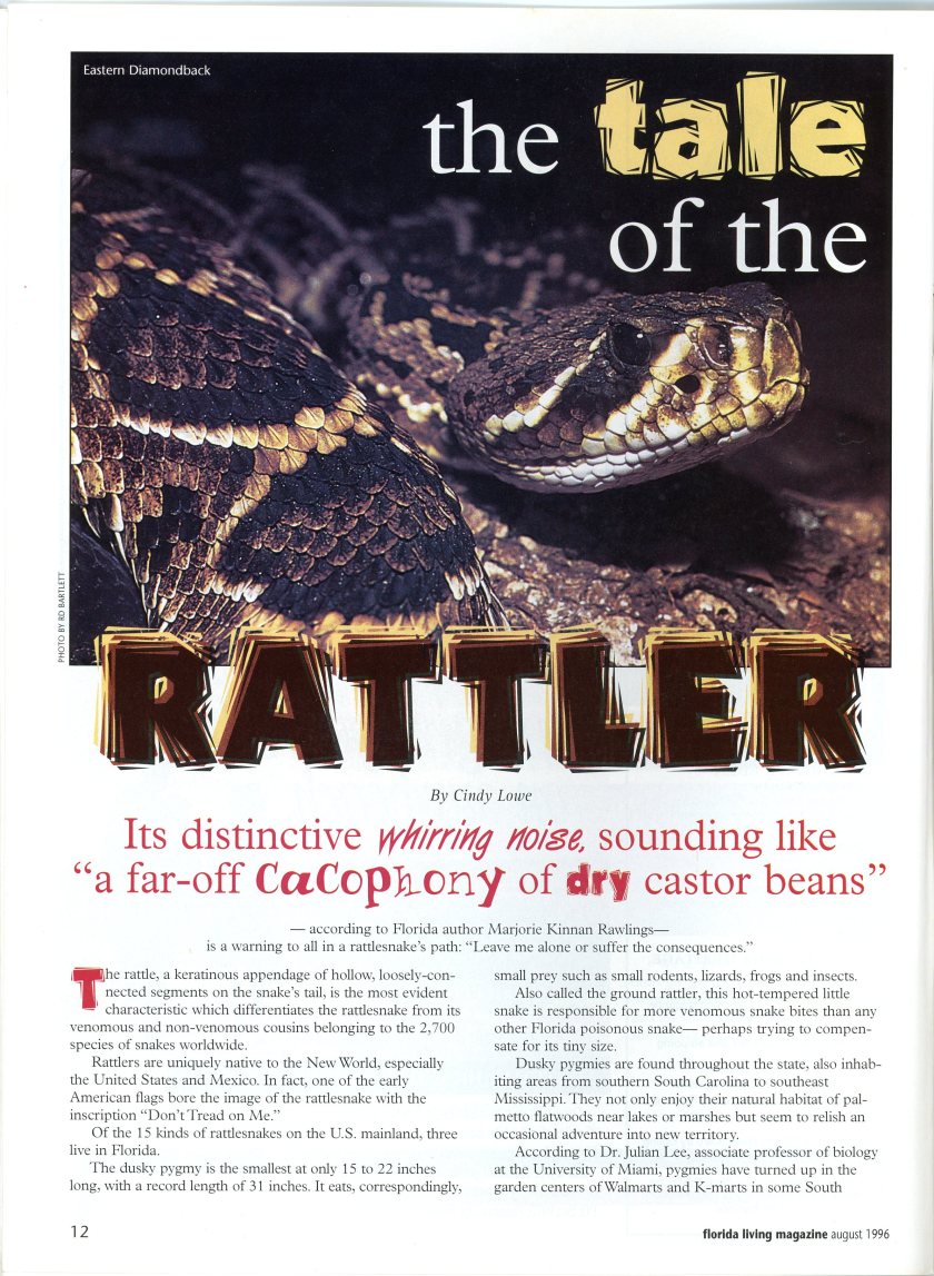 The Tale of the Rattler 001